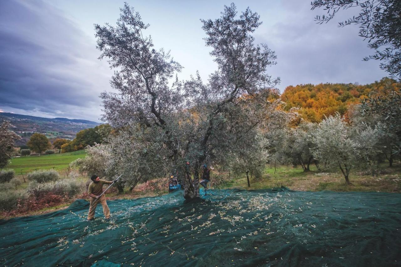 Agriturismo Bellofatto Torella dei Lombardi エクステリア 写真